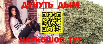трава Новозыбков