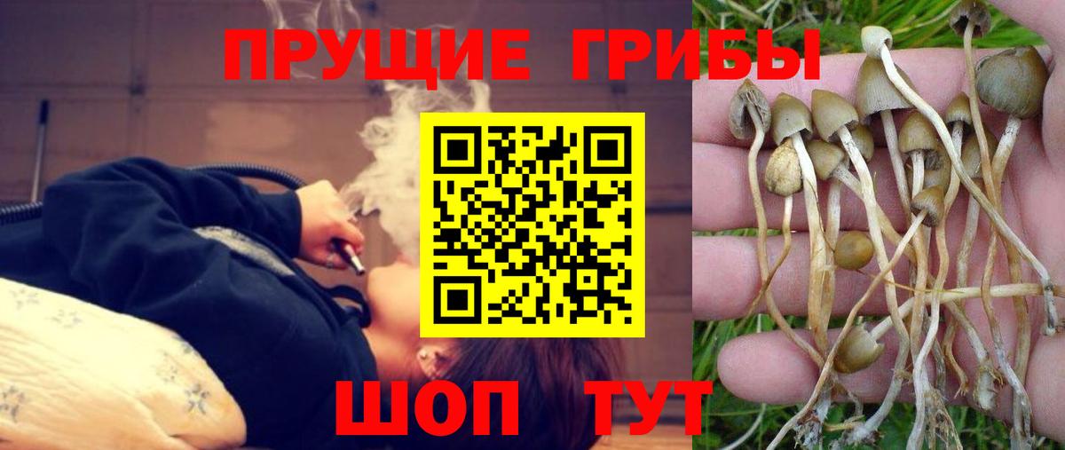 Галлюциногенные грибы мицелий  Псилоцибиновые грибы мухоморы  Вход с VPN  Тосно 